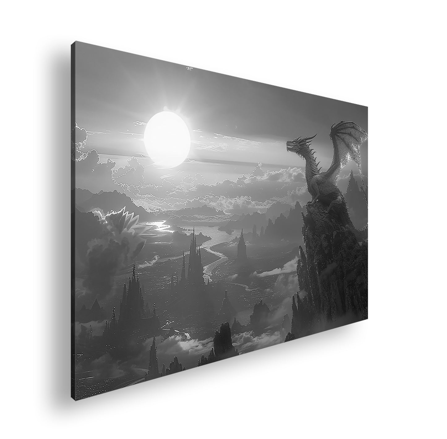 Hauptbild Schwarz & Weiß Standart