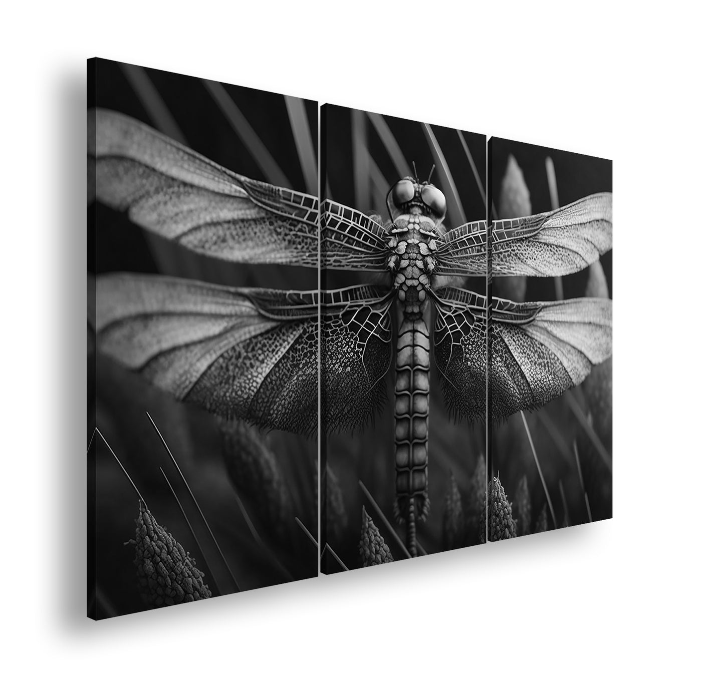 Hauptbild Schwarz & Weiß 3 Teilig