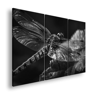 Hauptbild Schwarz & Weiß 3 Teilig