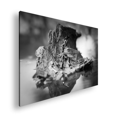 Hauptbild Schwarz & Weiß Standart