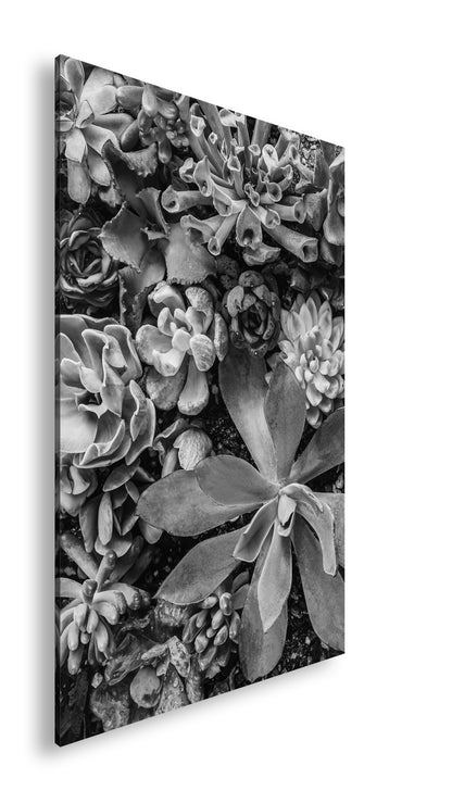 Hauptbild Schwarz & Weiß Standart