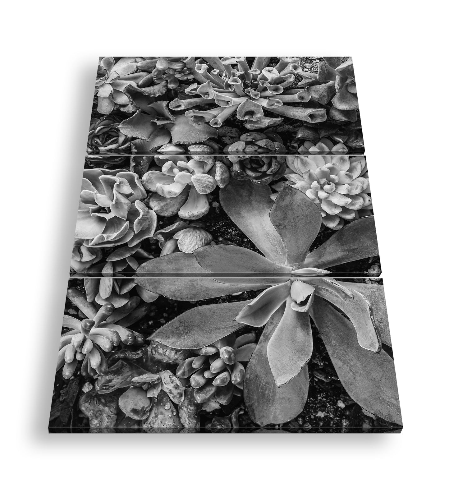 Hauptbild Schwarz & Weiß 3 Teilig