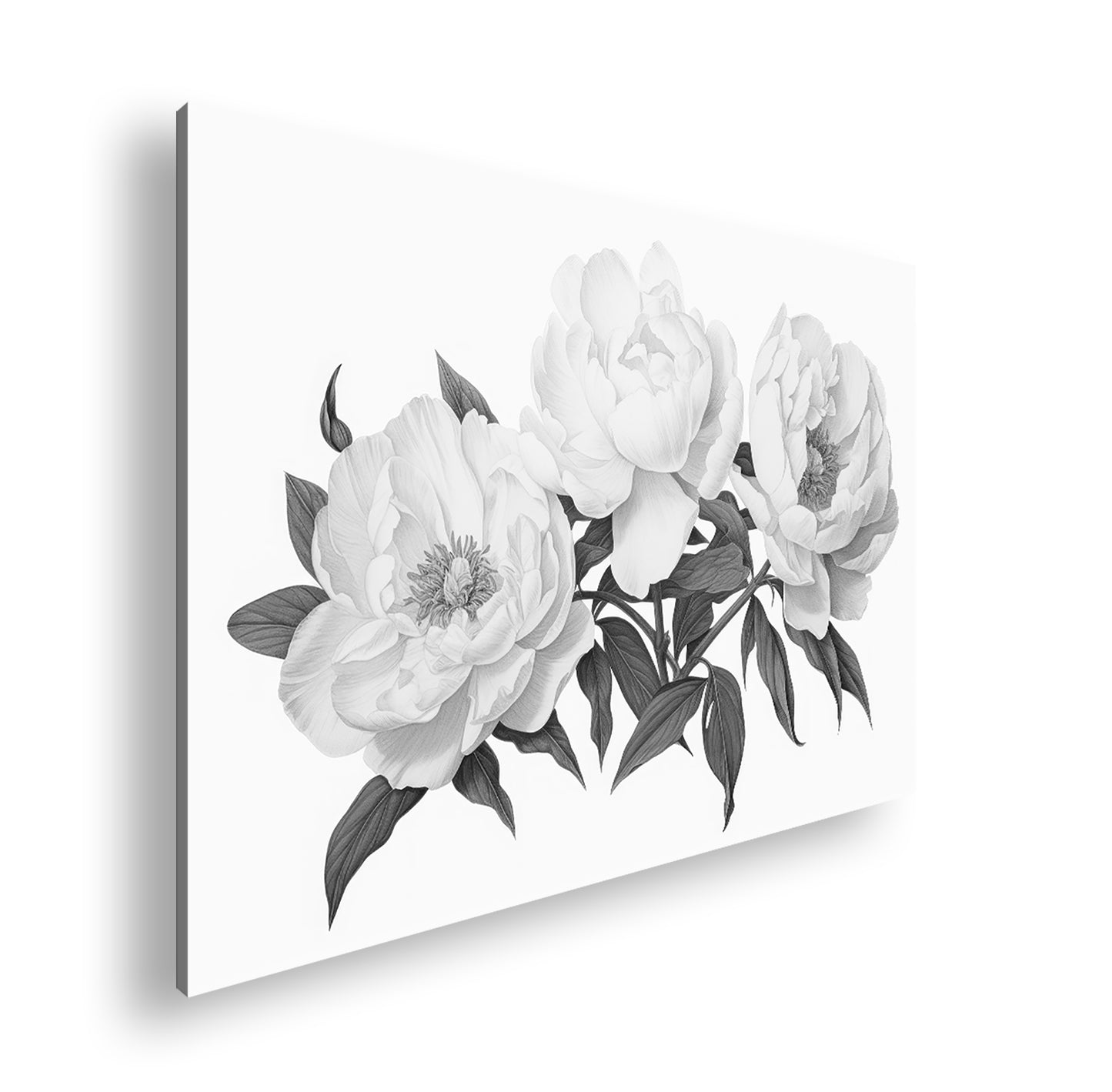 Hauptbild Schwarz & Weiß Standart