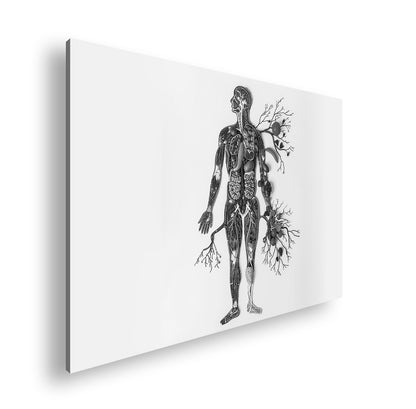 Hauptbild Schwarz & Weiß Standart