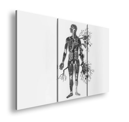 Hauptbild Schwarz & Weiß 3 Teilig