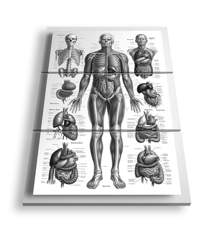 Hauptbild Schwarz & Weiß 3 Teilig