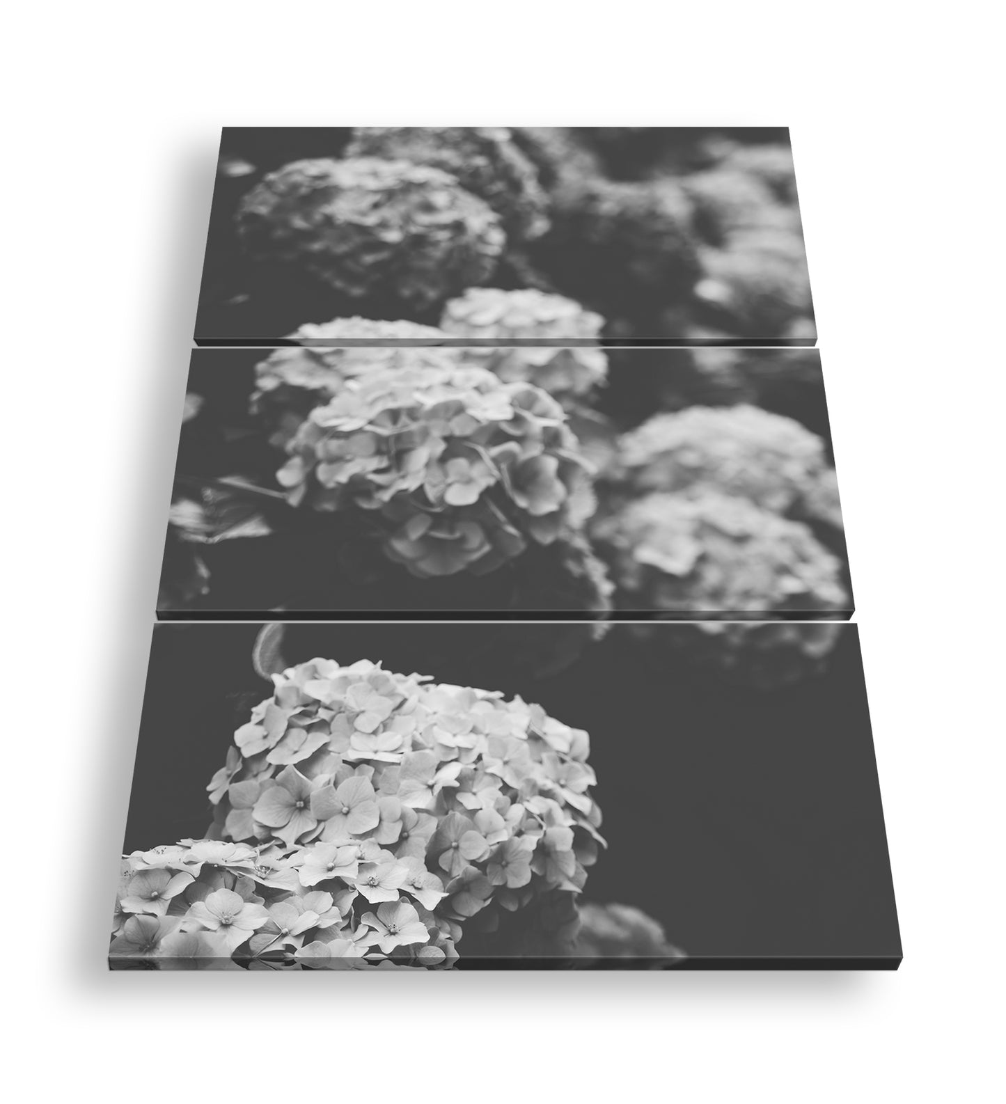 Hauptbild Schwarz & Weiß 3 Teilig