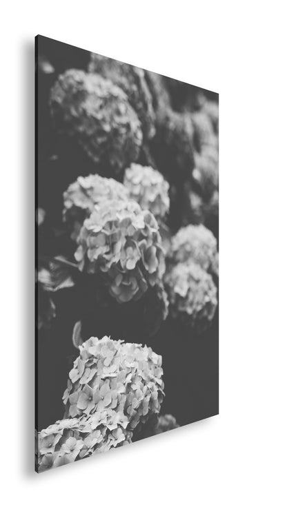 Hauptbild Schwarz & Weiß Standart