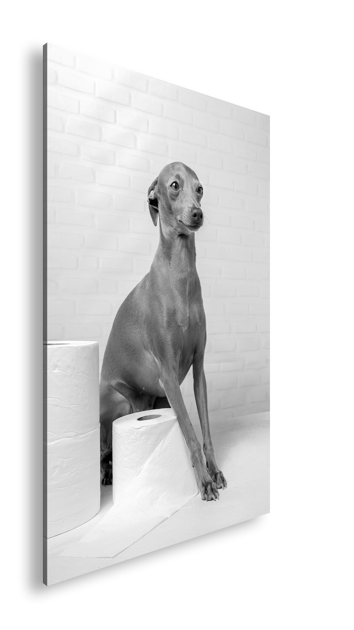 Hauptbild Schwarz & Weiß Standart