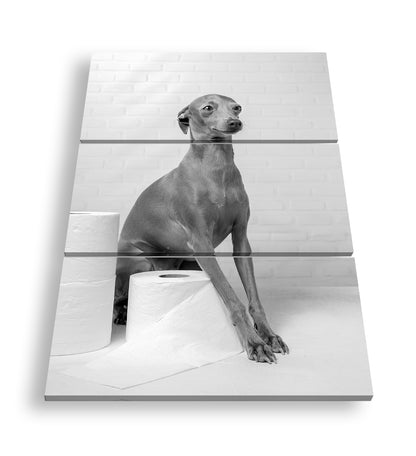 Hauptbild Schwarz & Weiß 3 Teilig