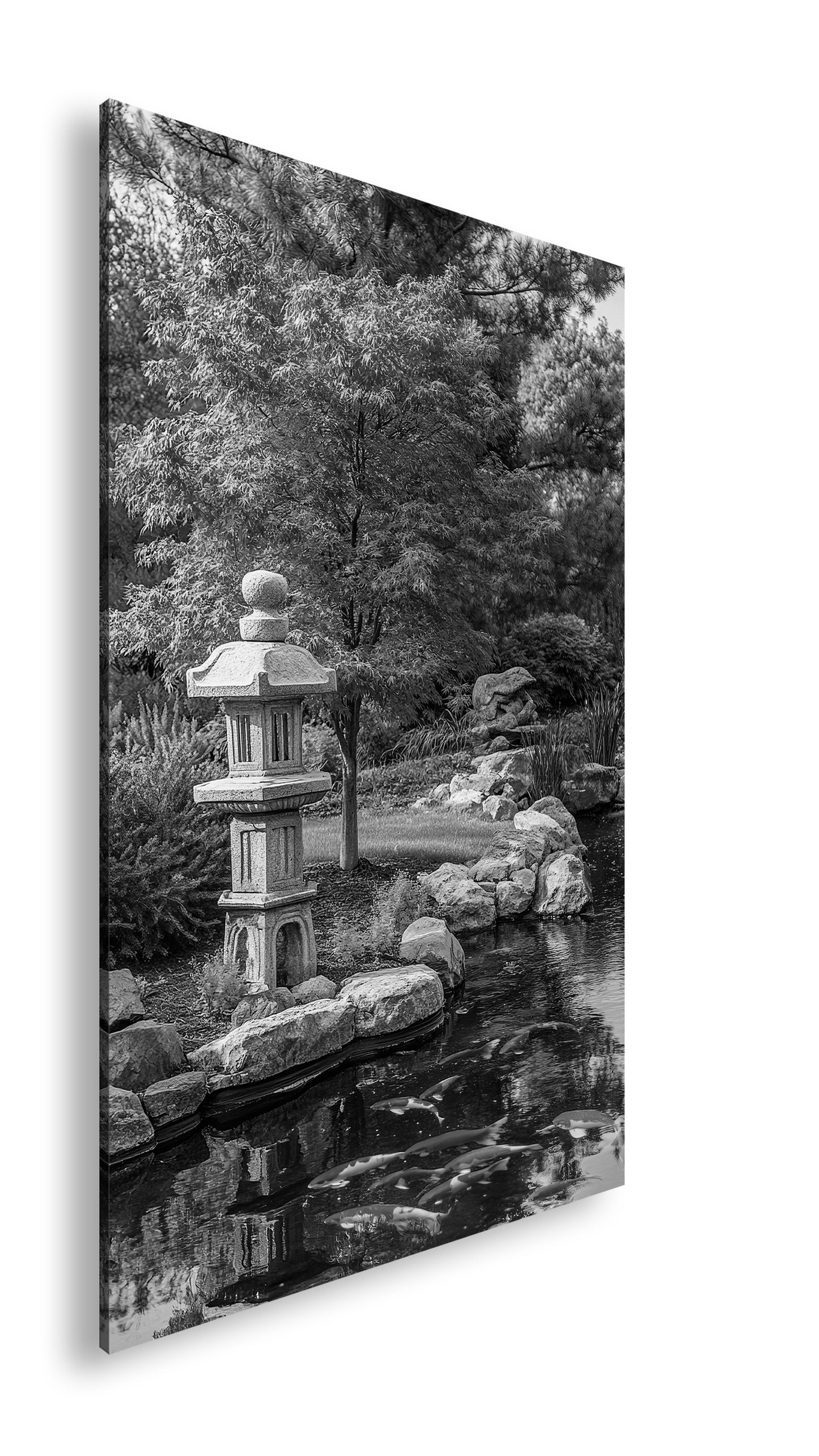 Hauptbild Schwarz & Weiß Standart