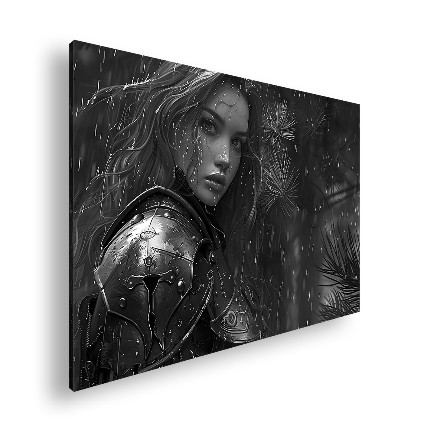 Hauptbild Schwarz & Weiß Standart