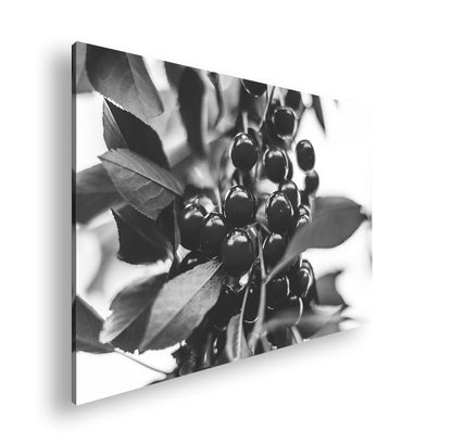 Hauptbild Schwarz & Weiß Standart