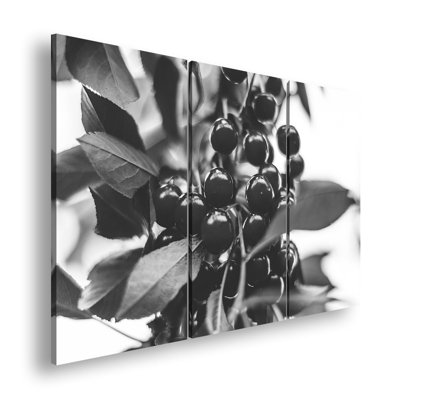 Hauptbild Schwarz & Weiß 3 Teilig