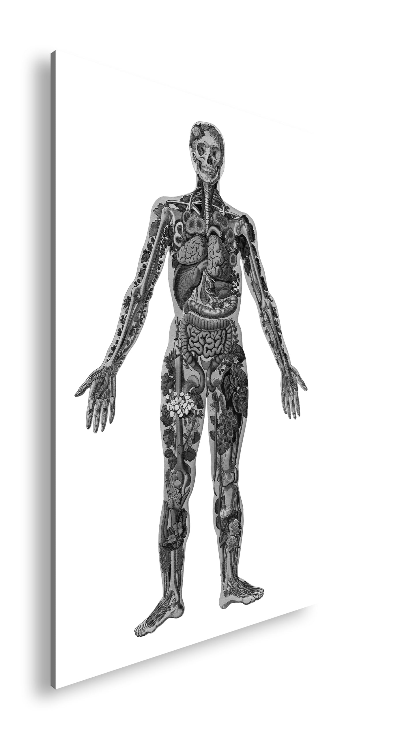 Hauptbild Schwarz & Weiß Standart