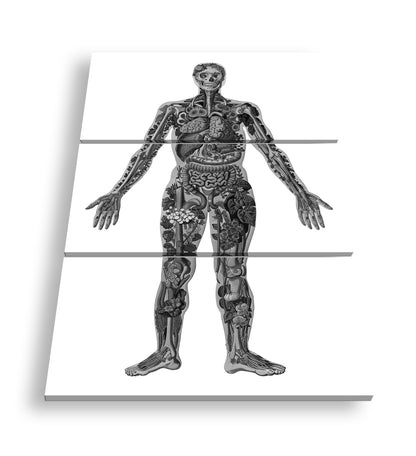 Hauptbild Schwarz & Weiß 3 Teilig