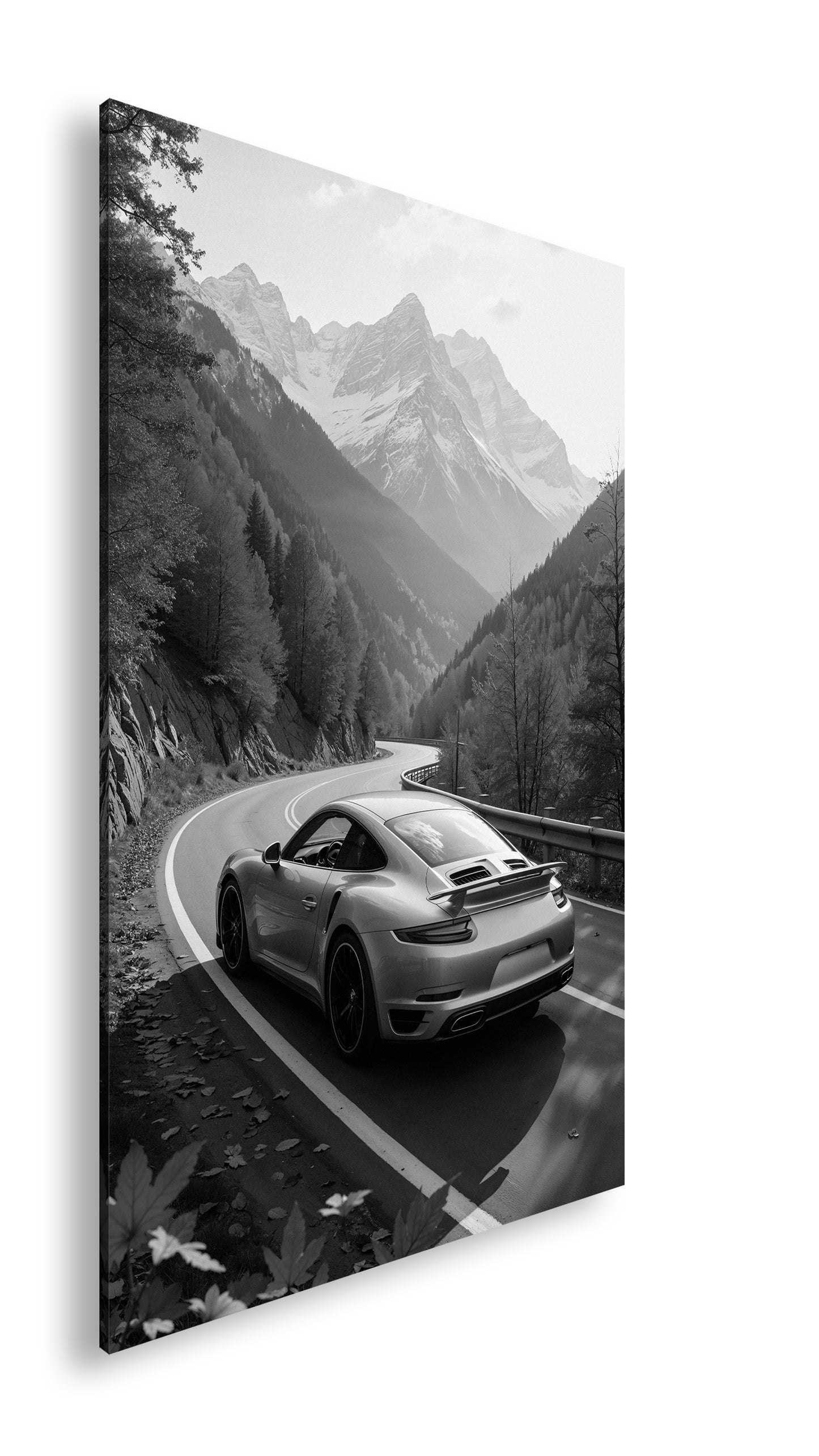 Hauptbild Schwarz & Weiß Standart