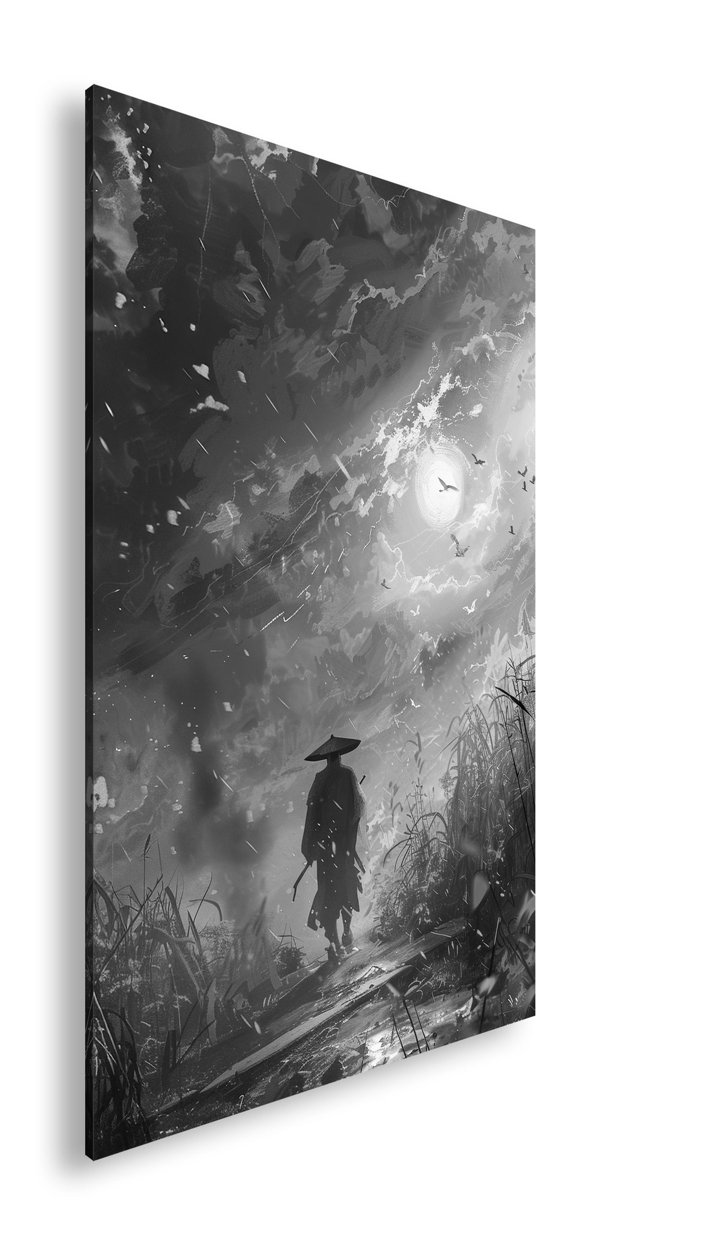 Hauptbild Schwarz & Weiß Standart