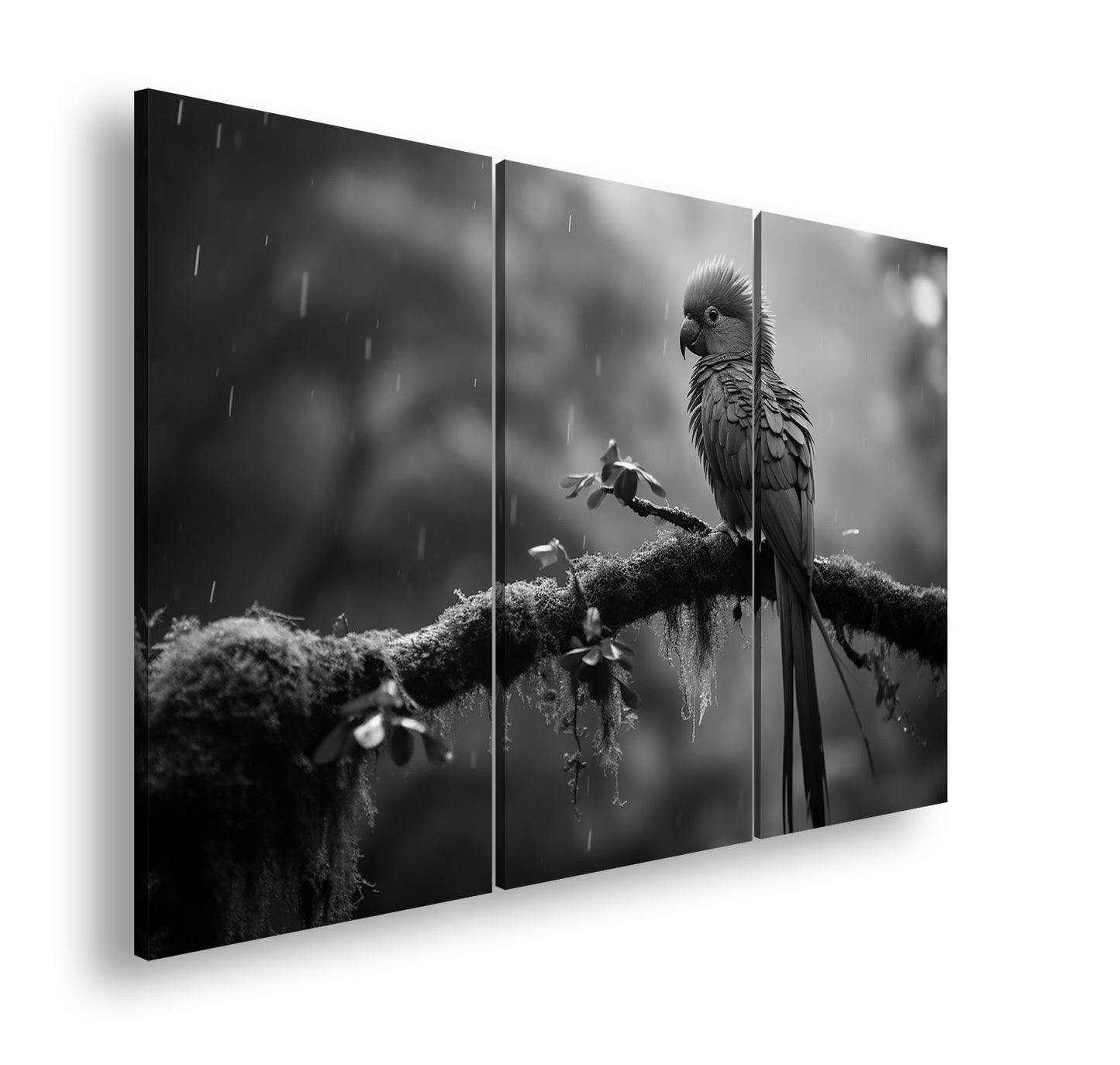 Hauptbild Schwarz & Weiß 3 Teilig