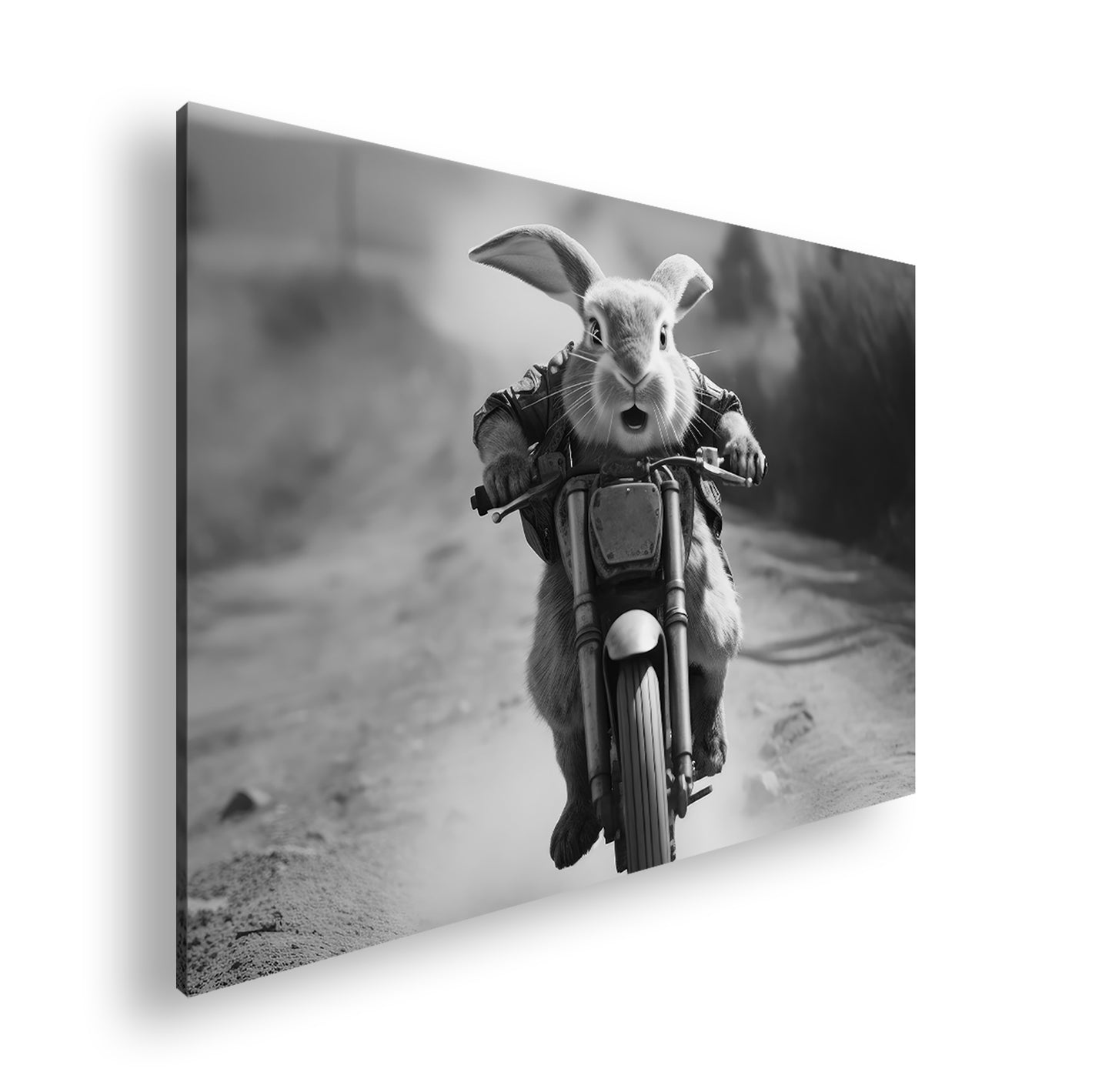 Hauptbild Schwarz & Weiß Standart