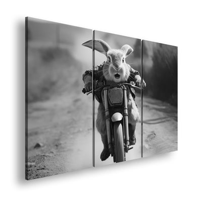 Hauptbild Schwarz & Weiß 3 Teilig