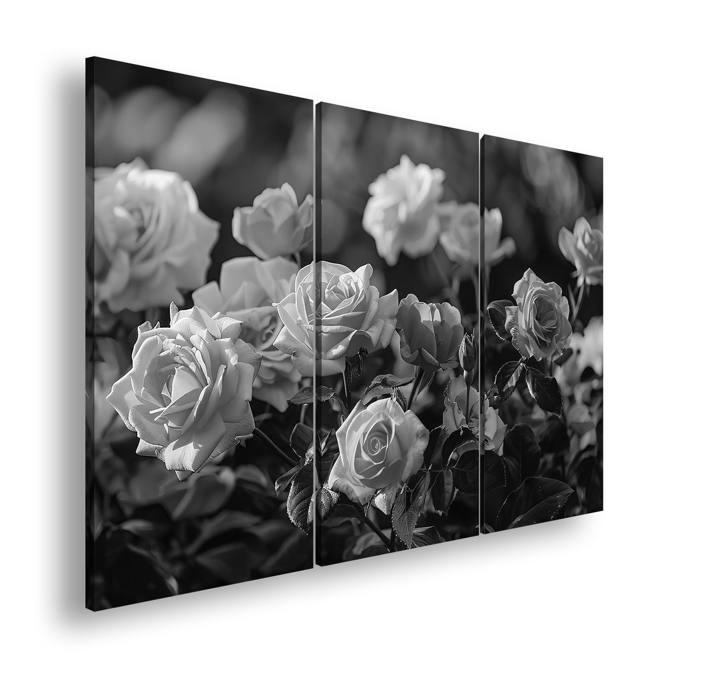 Hauptbild Schwarz & Weiß 3 Teilig