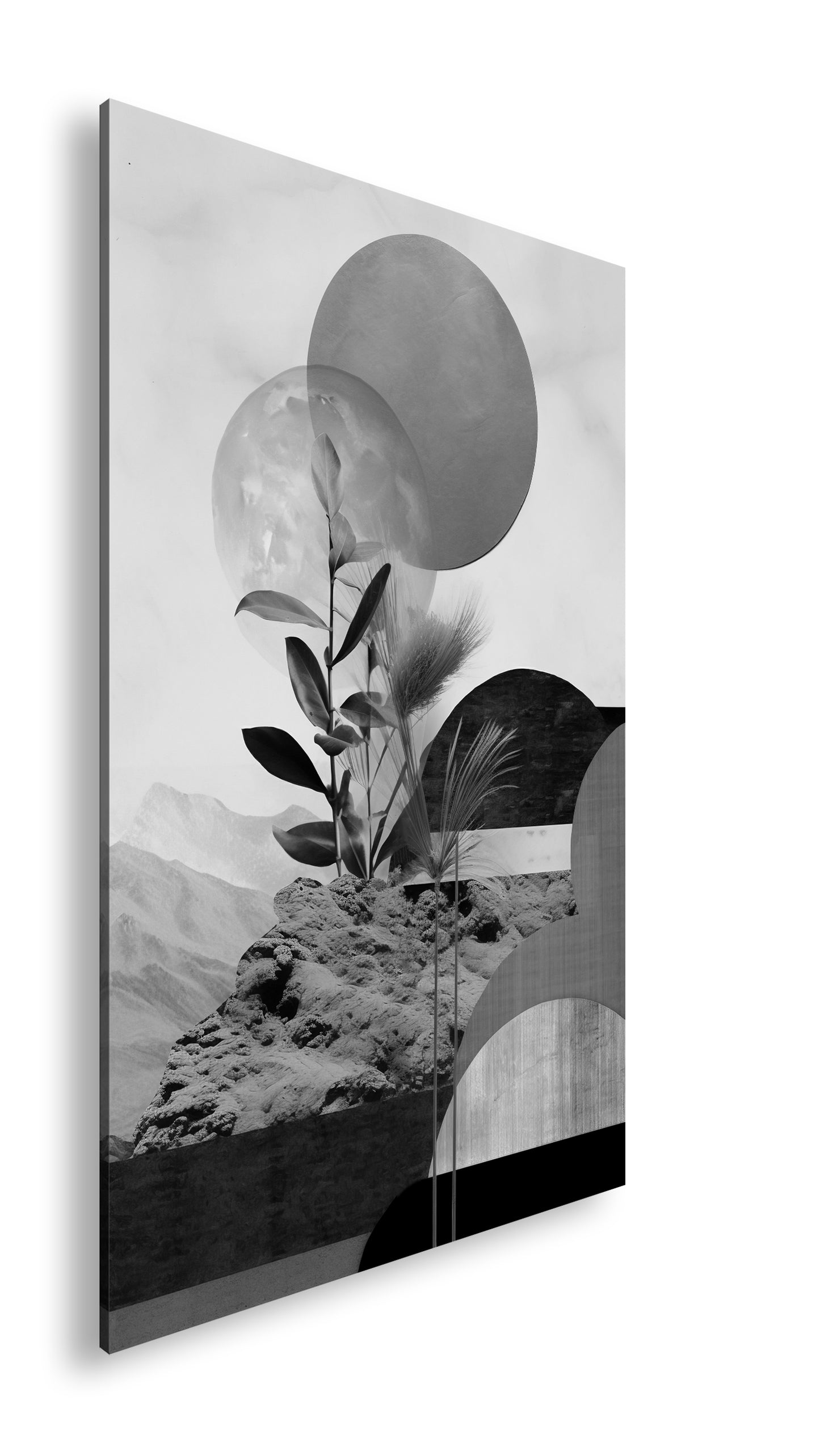 Hauptbild Schwarz & Weiß Standart