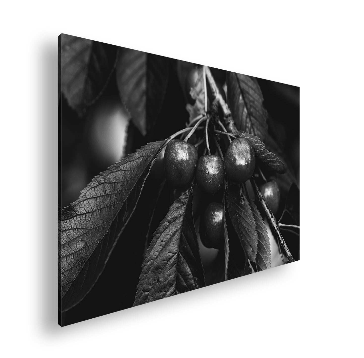 Hauptbild Schwarz & Weiß Standart