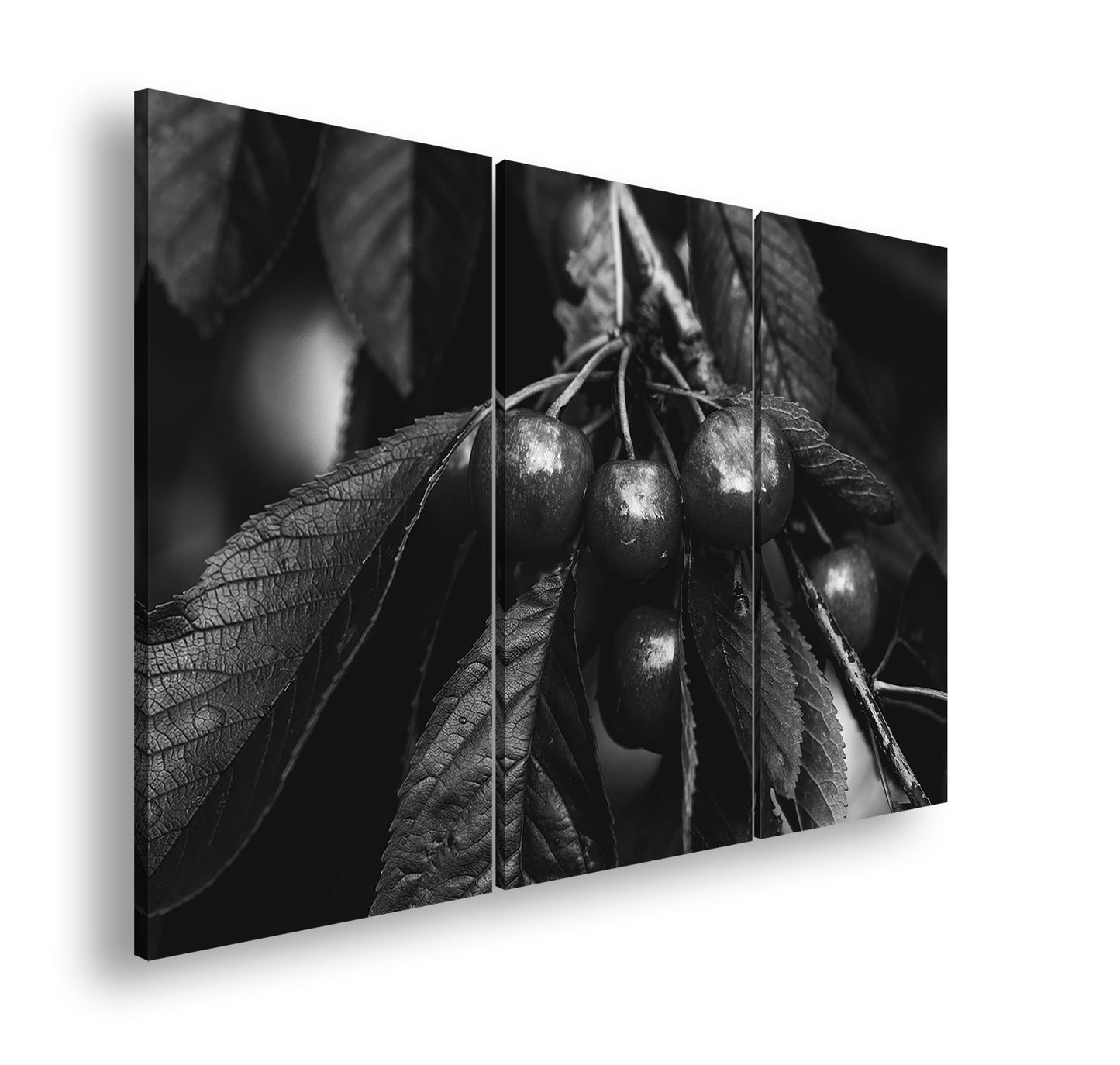 Hauptbild Schwarz & Weiß 3 Teilig