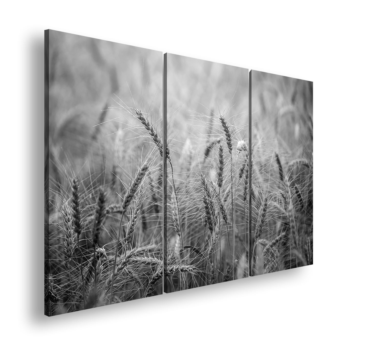 Hauptbild Schwarz & Weiß 3 Teilig