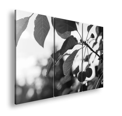 Hauptbild Schwarz & Weiß 3 Teilig