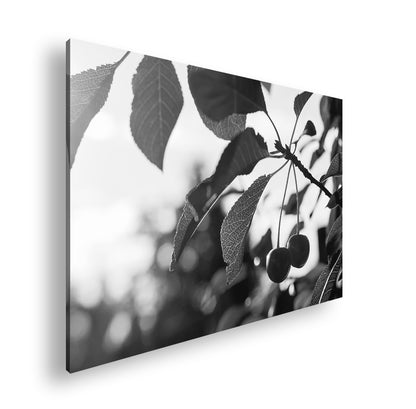 Hauptbild Schwarz & Weiß Standart