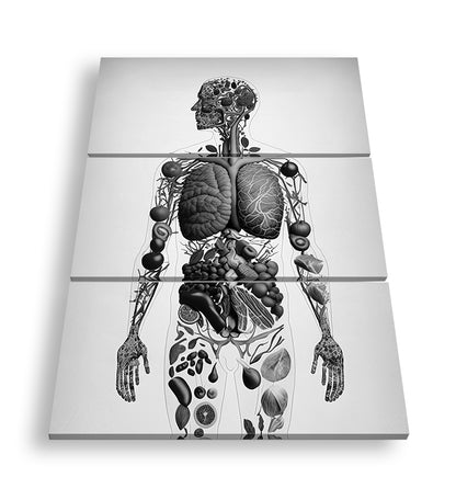 Hauptbild Schwarz & Weiß 3 Teilig