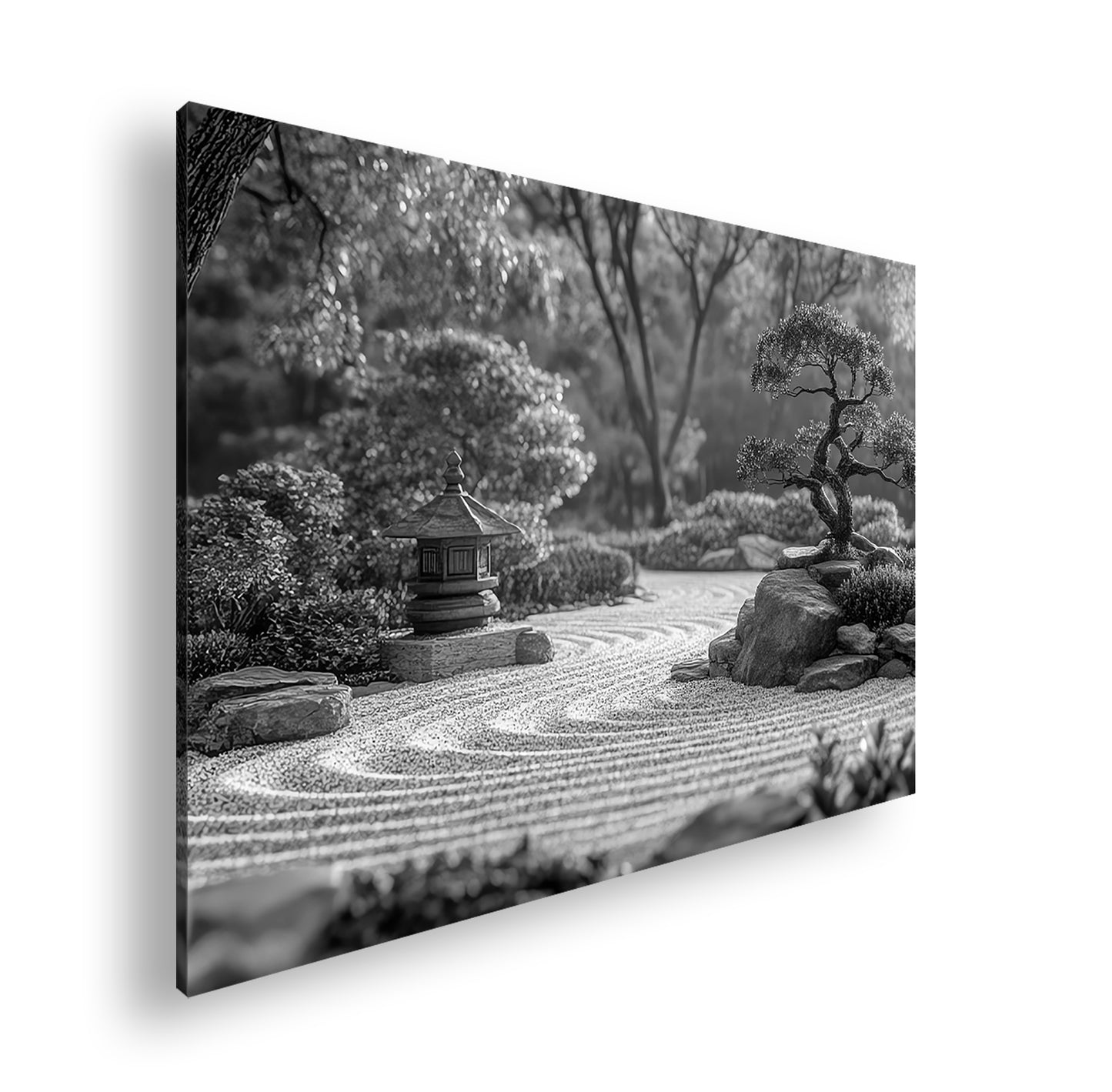 Hauptbild Schwarz & Weiß Standart