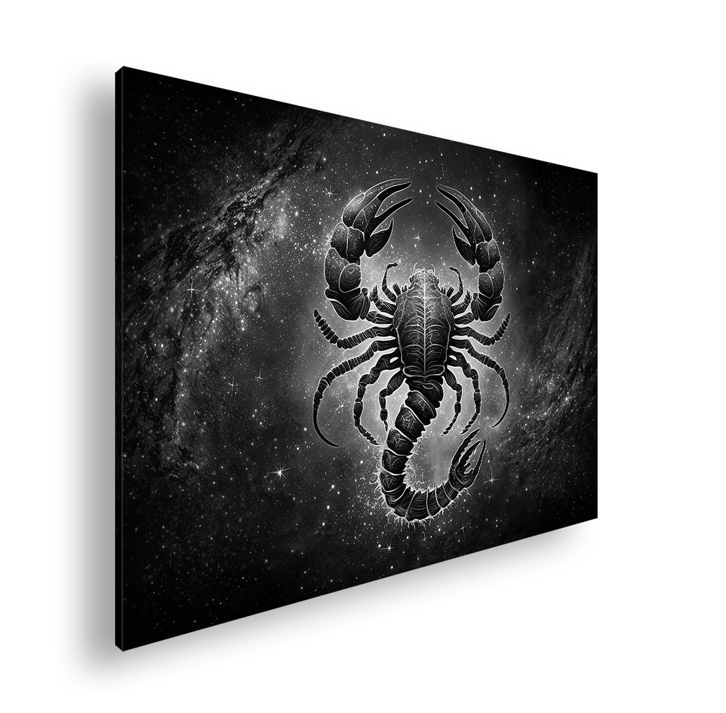 Hauptbild Schwarz & Weiß Standart