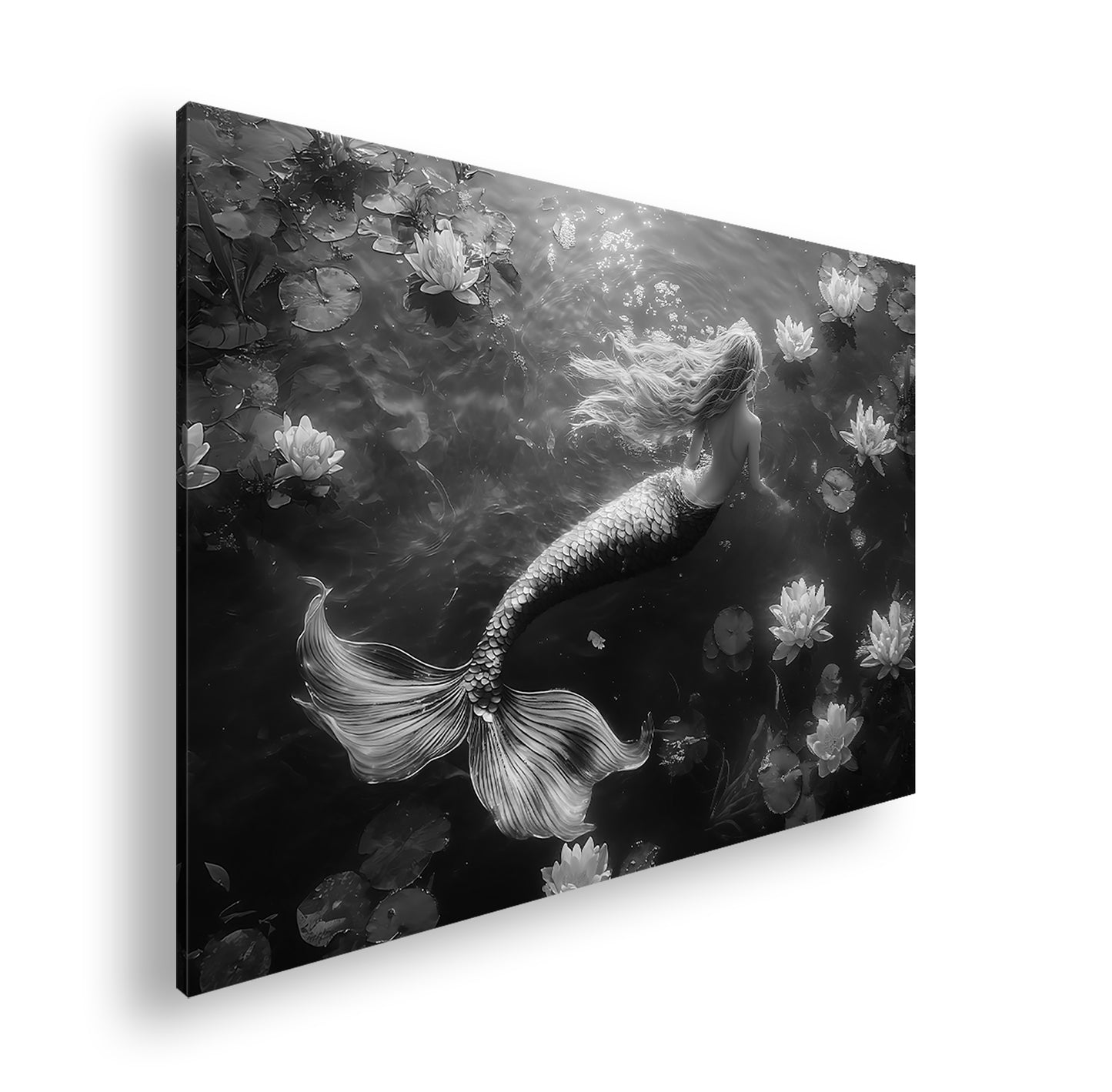 Hauptbild Schwarz & Weiß Standart