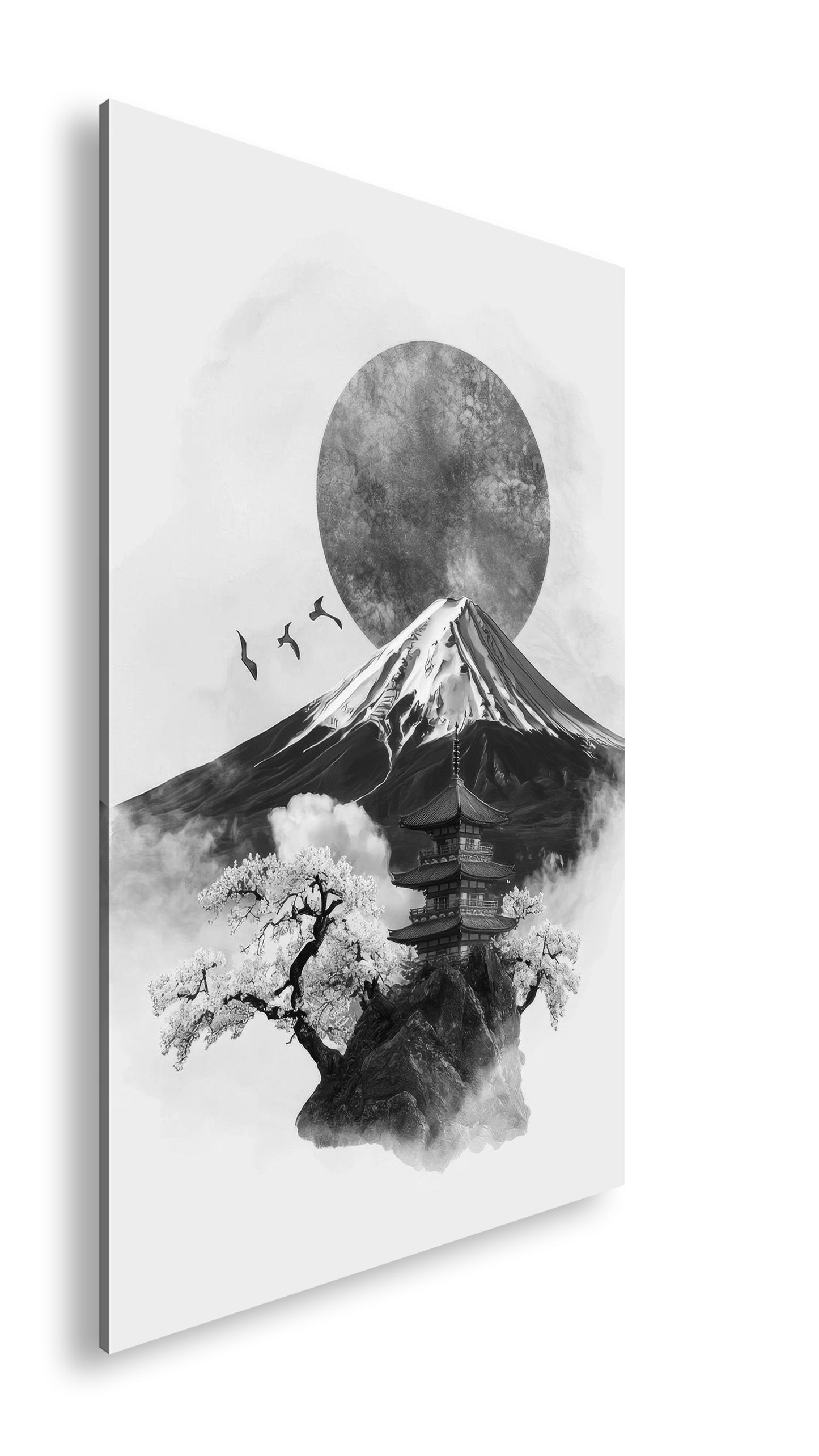 Hauptbild Schwarz & Weiß Standart