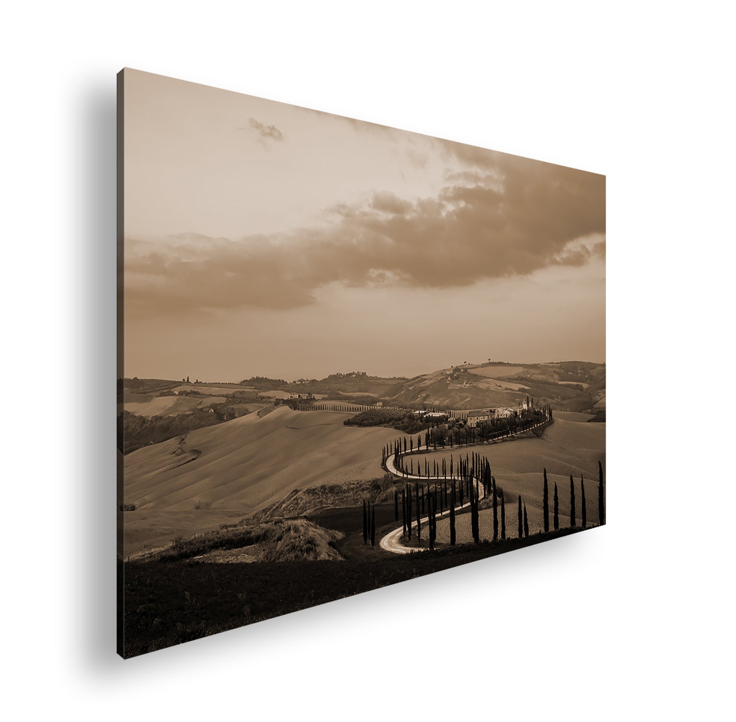 Hauptbild Sepia Standart