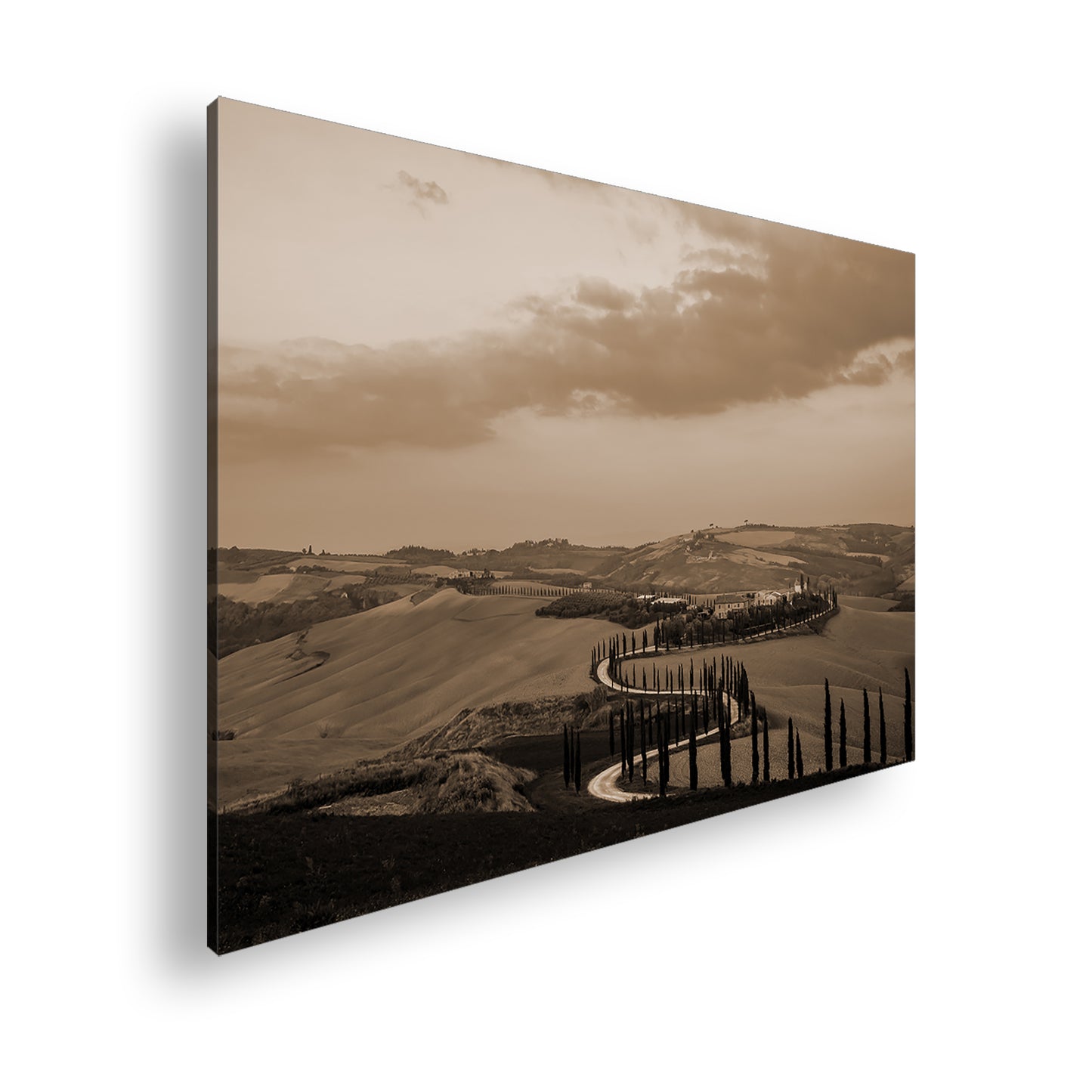 Hauptbild Sepia Standart