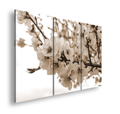 Hauptbild Sepia 3 Teilig