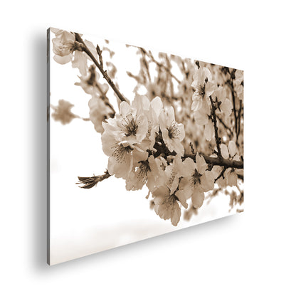 Hauptbild Sepia Standart