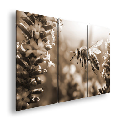 Hauptbild Sepia 3 Teilig