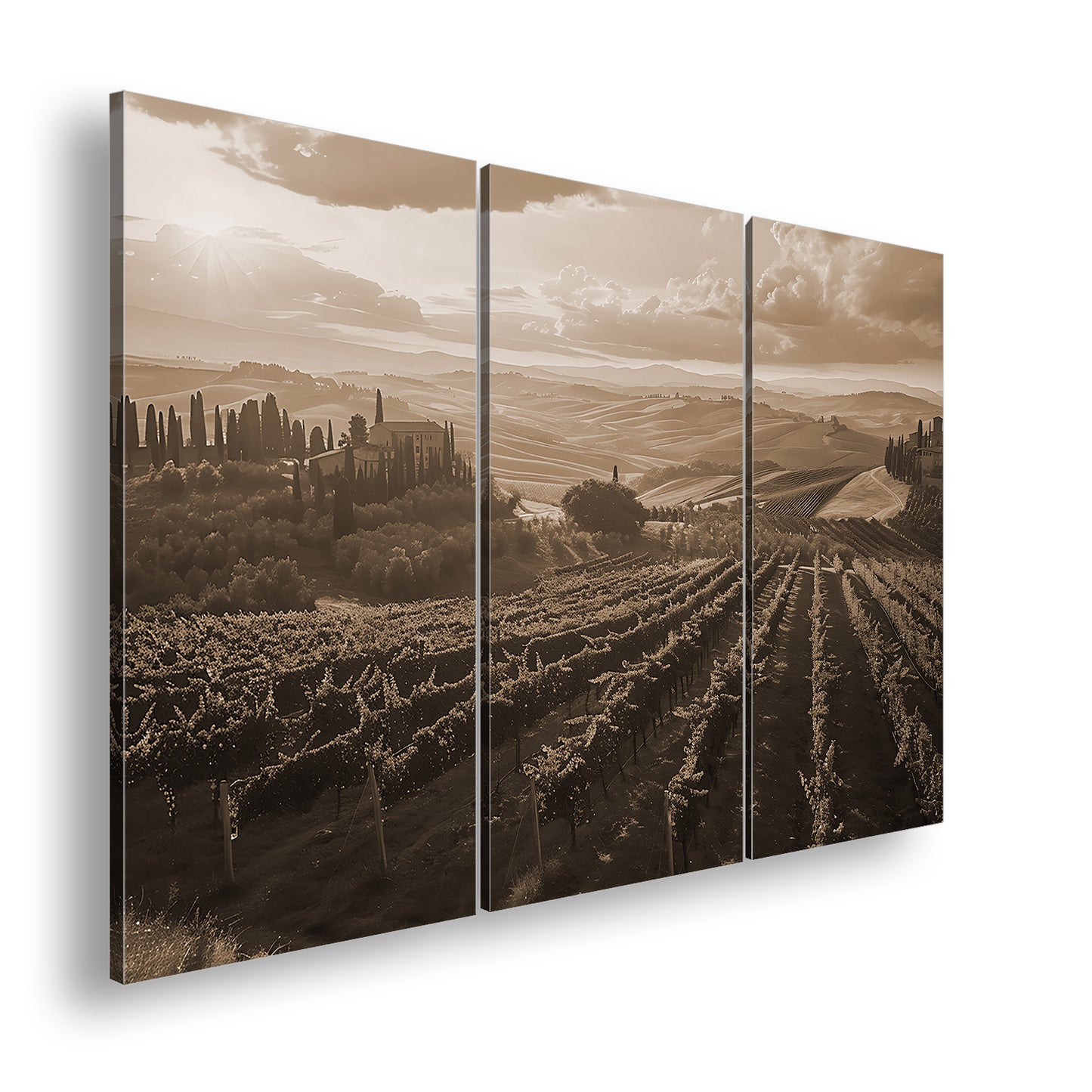 Hauptbild Sepia 3 Teilig