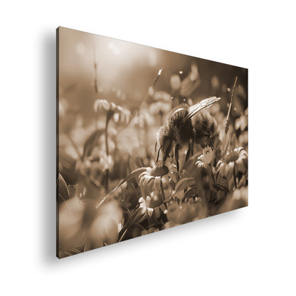 Hauptbild Sepia Standart