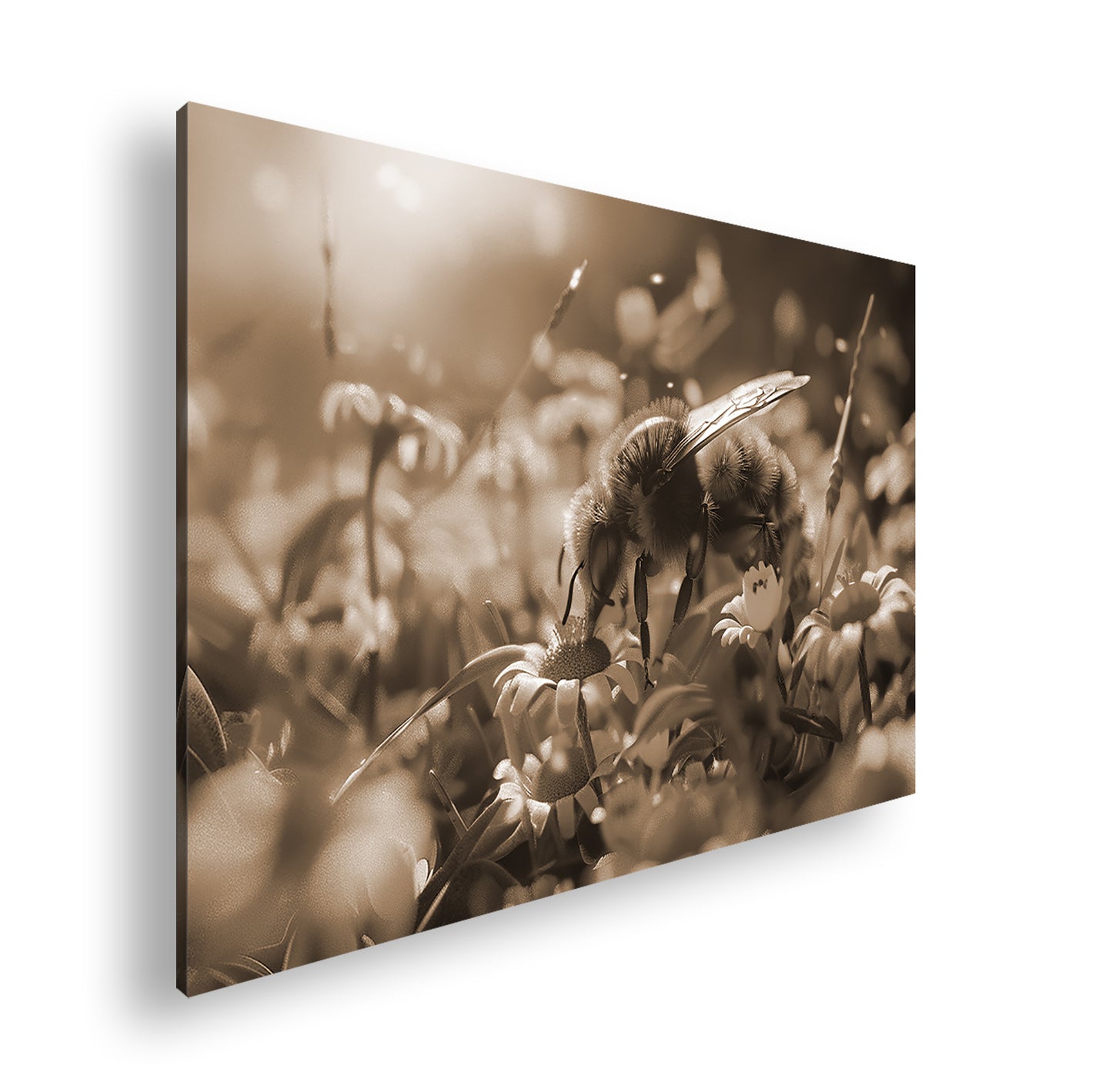 Hauptbild Sepia Standart