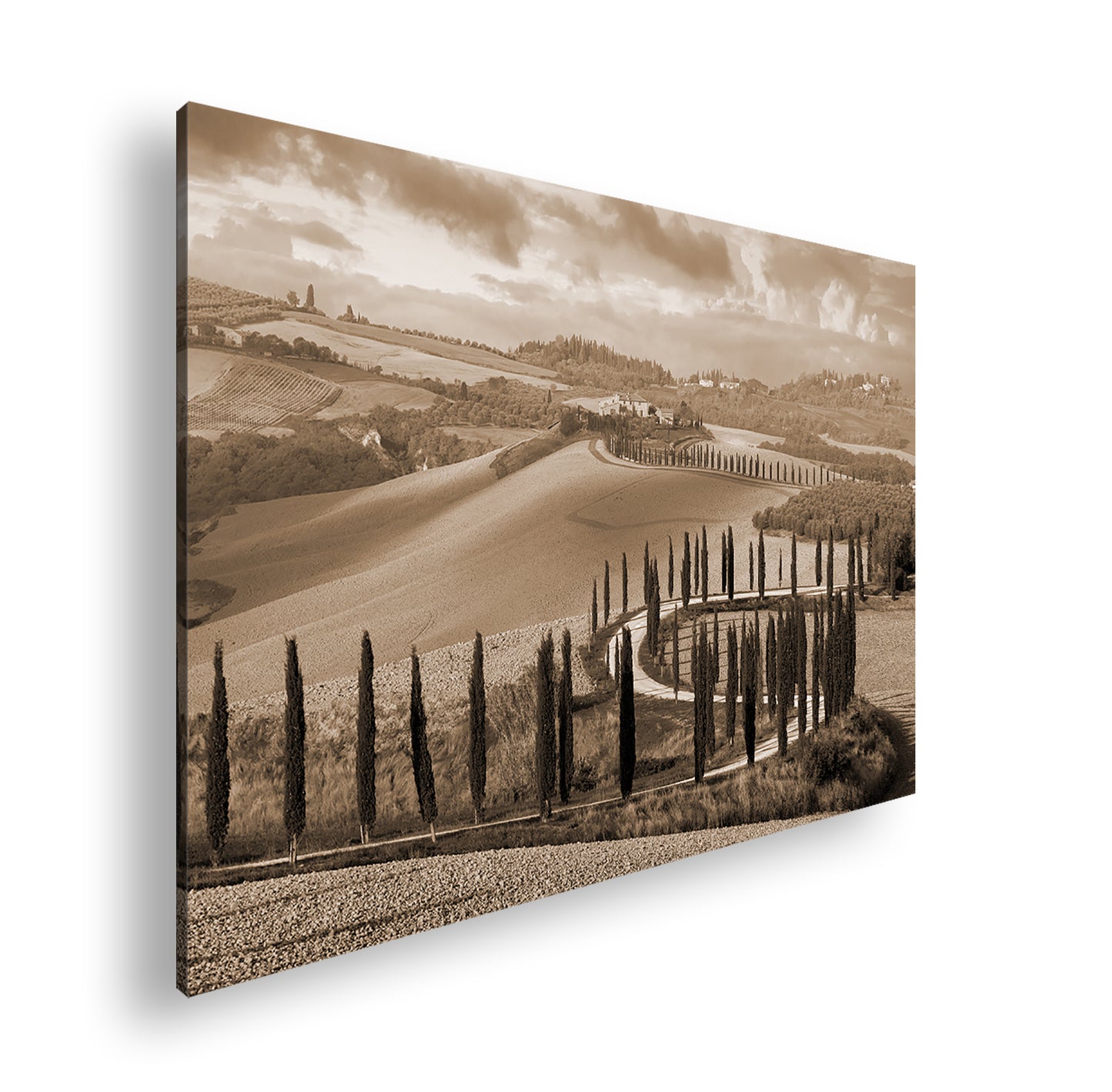 Hauptbild Sepia Standart