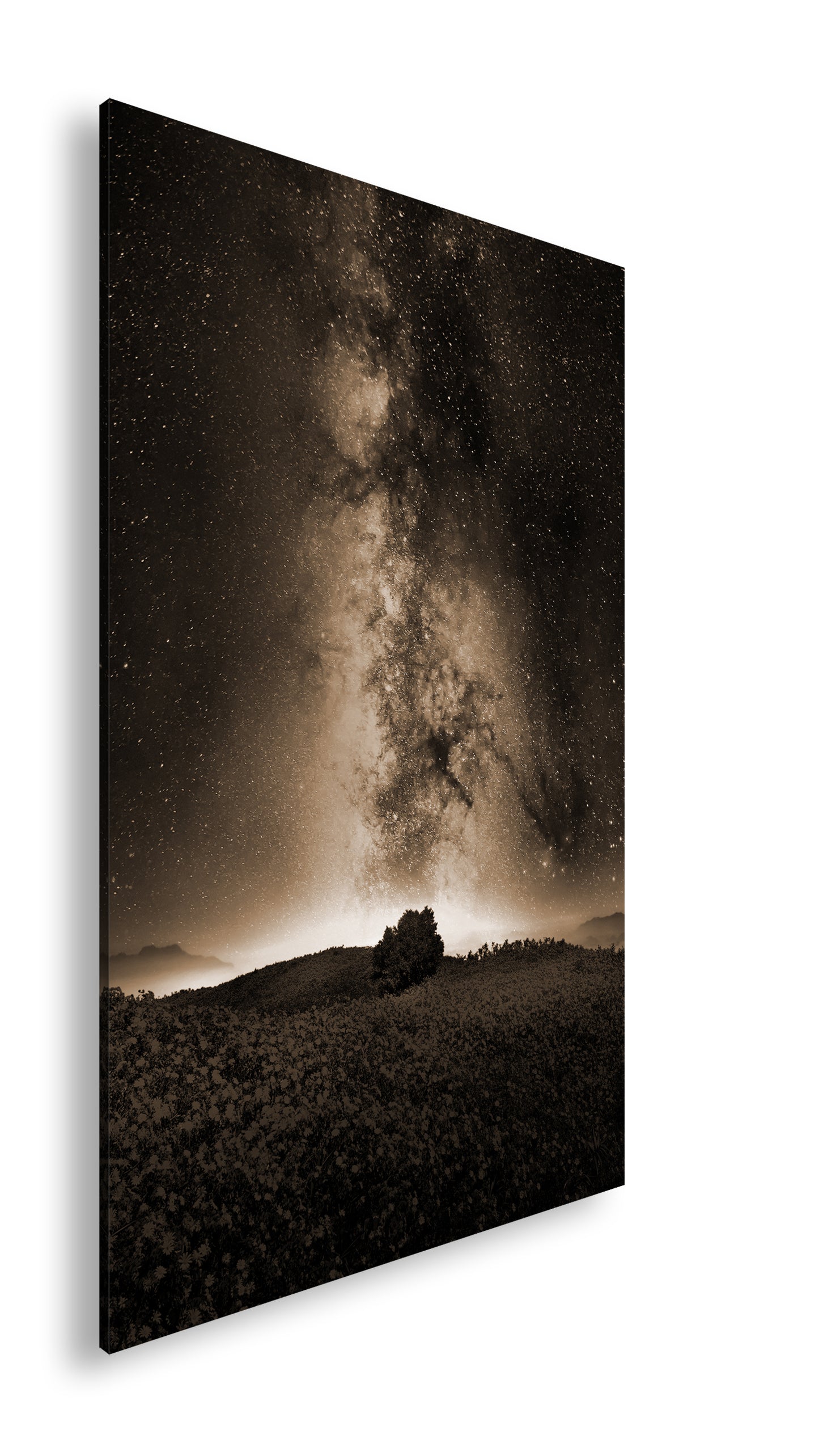 Hauptbild Sepia Standart