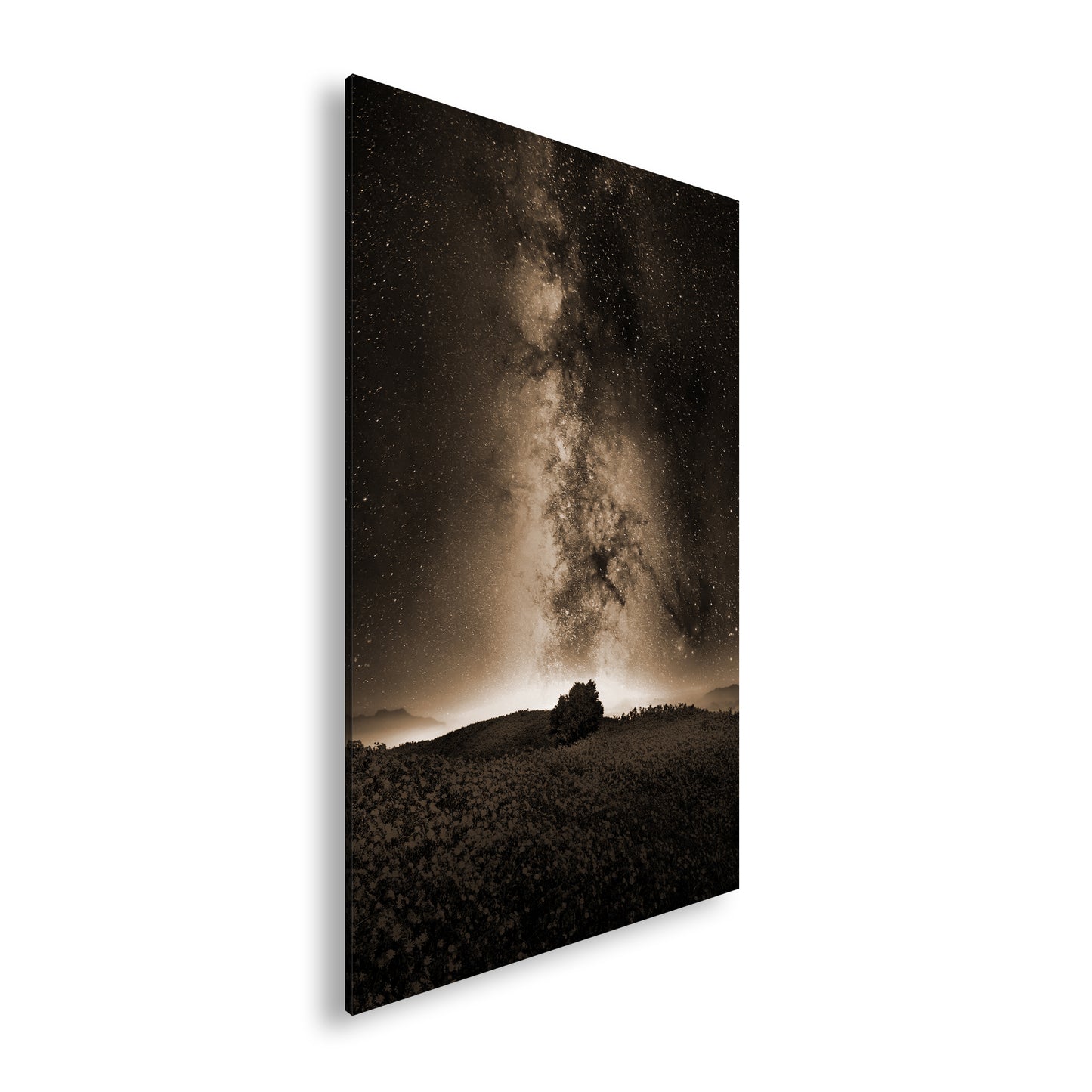 Hauptbild Sepia Standart