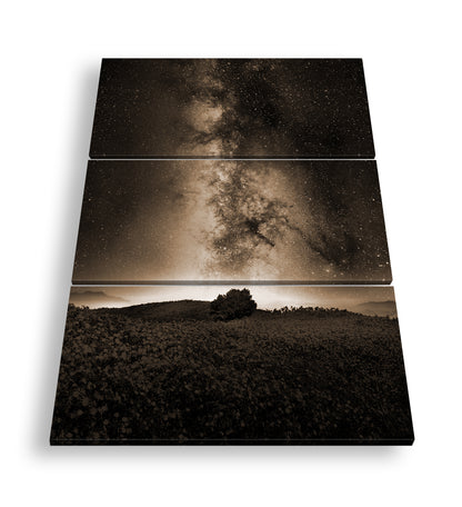 Hauptbild Sepia 3 Teilig