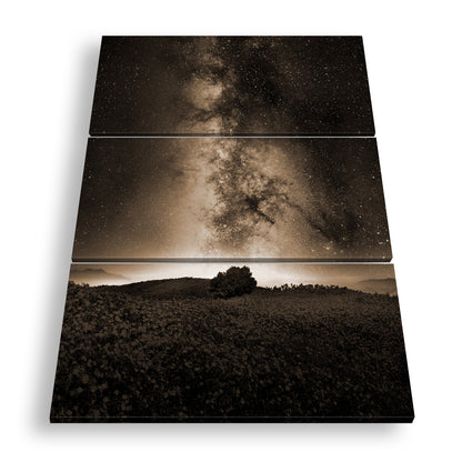 Hauptbild Sepia 3 Teilig